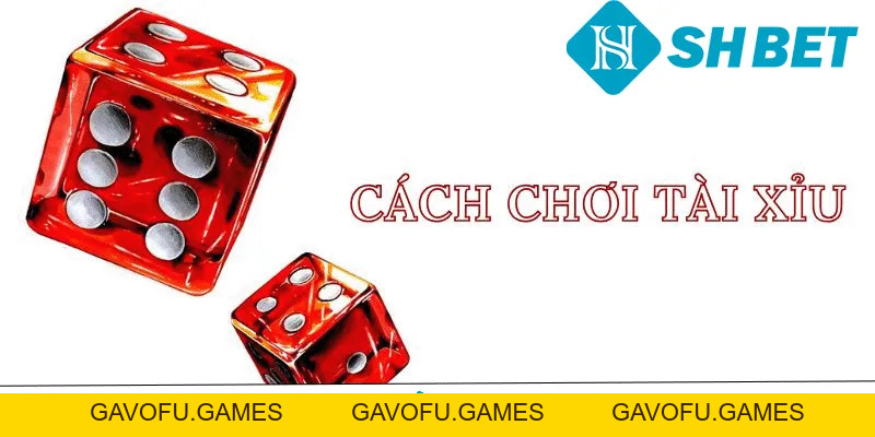 Cách Chơi Tài Xỉu SHBET Cho Người Mới Nhanh Về Bờ