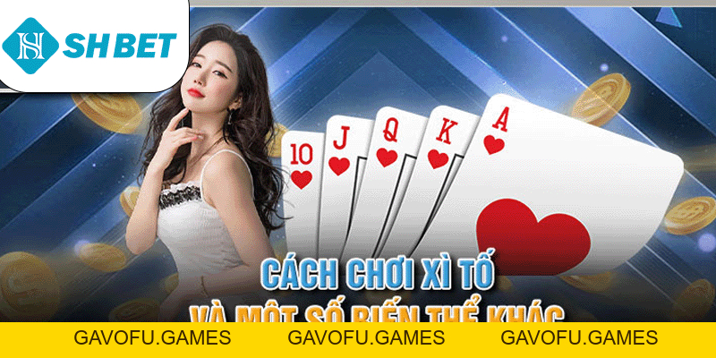 Cách Chơi Xì Tố – Hướng Dẫn Chi Tiết Từ nhà cái SHBET 