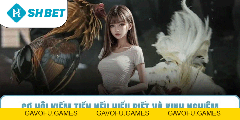 Đá Gà SHBET – Sân Chơi Cá Cược Uy Tín