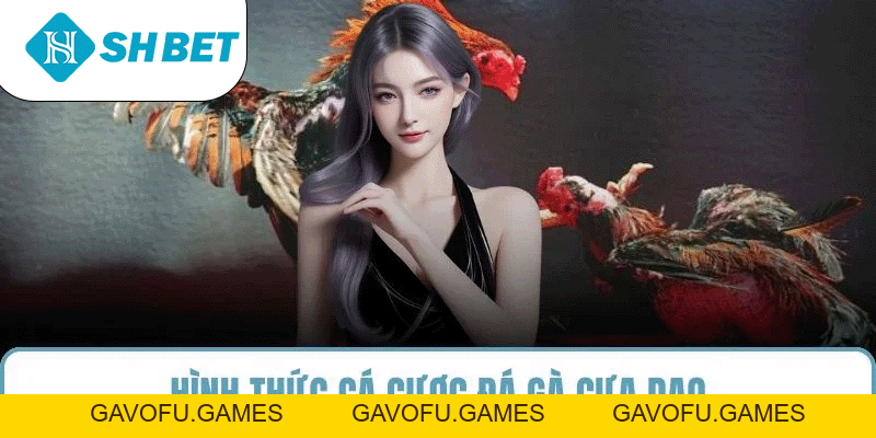 Đá Gà SHBET – Sân Chơi Cá Cược Uy Tín