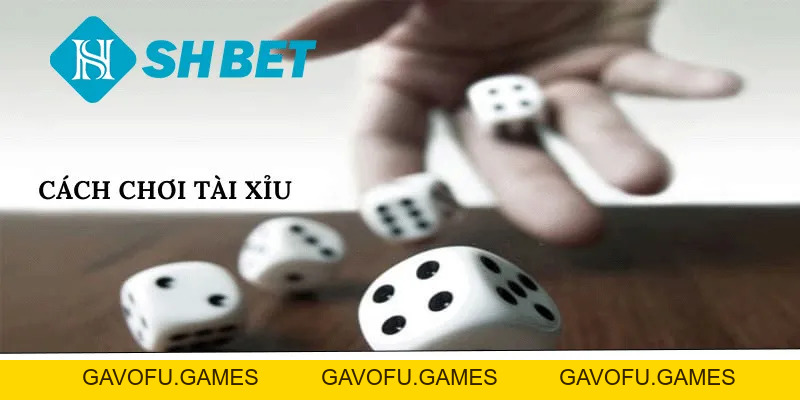 Cách Chơi Tài Xỉu SHBET Cho Người Mới Nhanh Về Bờ