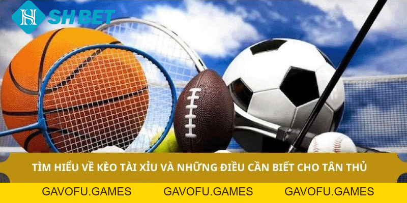 Thể Thao SHBET – Cược Trực Tuyến Uy Tín Số 1 Hiện Nay