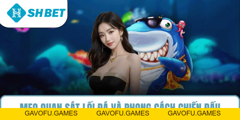 Đá Gà SHBET – Sân Chơi Cá Cược Uy Tín