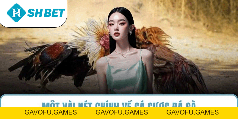Đá Gà SHBET – Sân Chơi Cá Cược Uy Tín