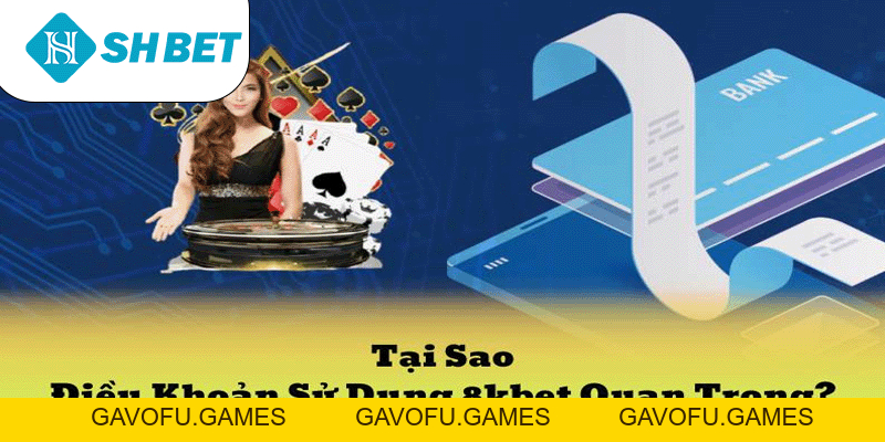 Điều Khoản Sử Dụng SHBET – Những Quy Định Về Điều Khoản