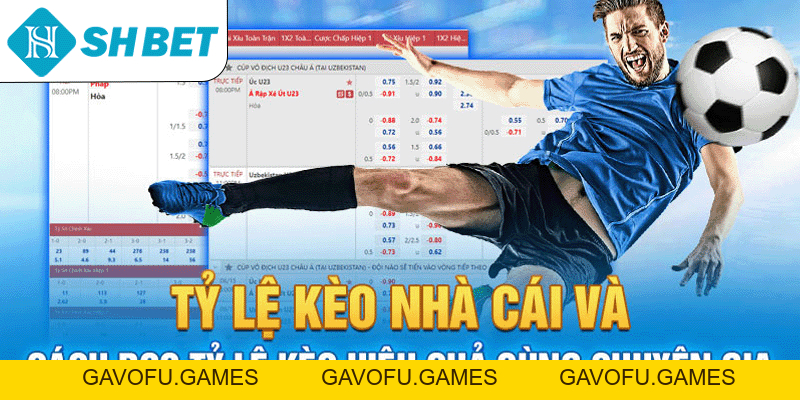 Thể Thao SHBET – Cược Trực Tuyến Uy Tín Số 1 Hiện Nay